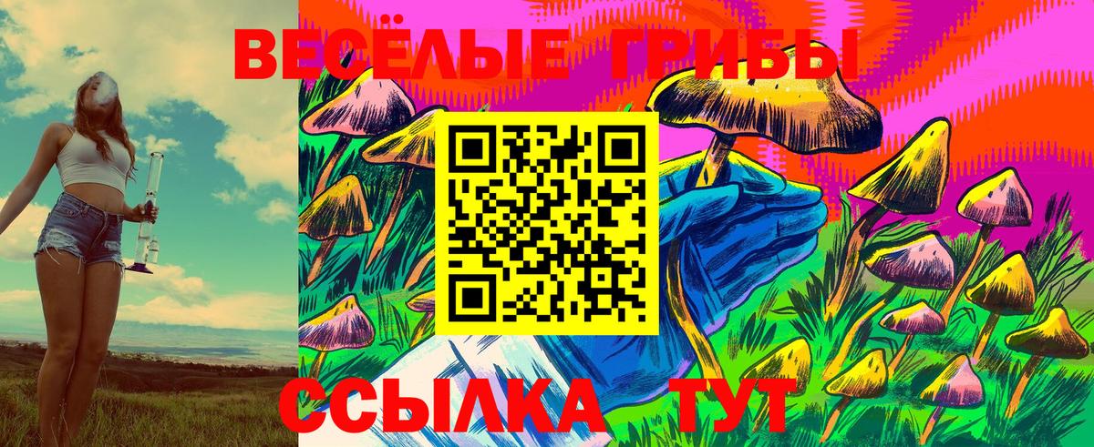 Чапаевск  Псилоцибиновые грибы Cubensis  Галлюциногенные грибы Psilocybe  Вход с VPN 